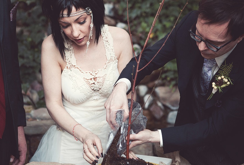 we planted a tree at our wedding