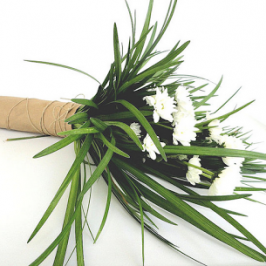 Lily Grass for green bouquets