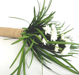 Lily Grass for green bouquets