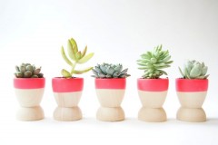 Handmade nature inspired mini planters